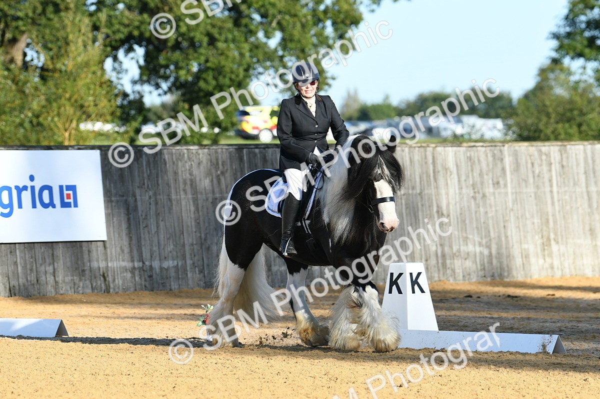 SBM_14474 - D4 - Small Tour Championship - Intro B