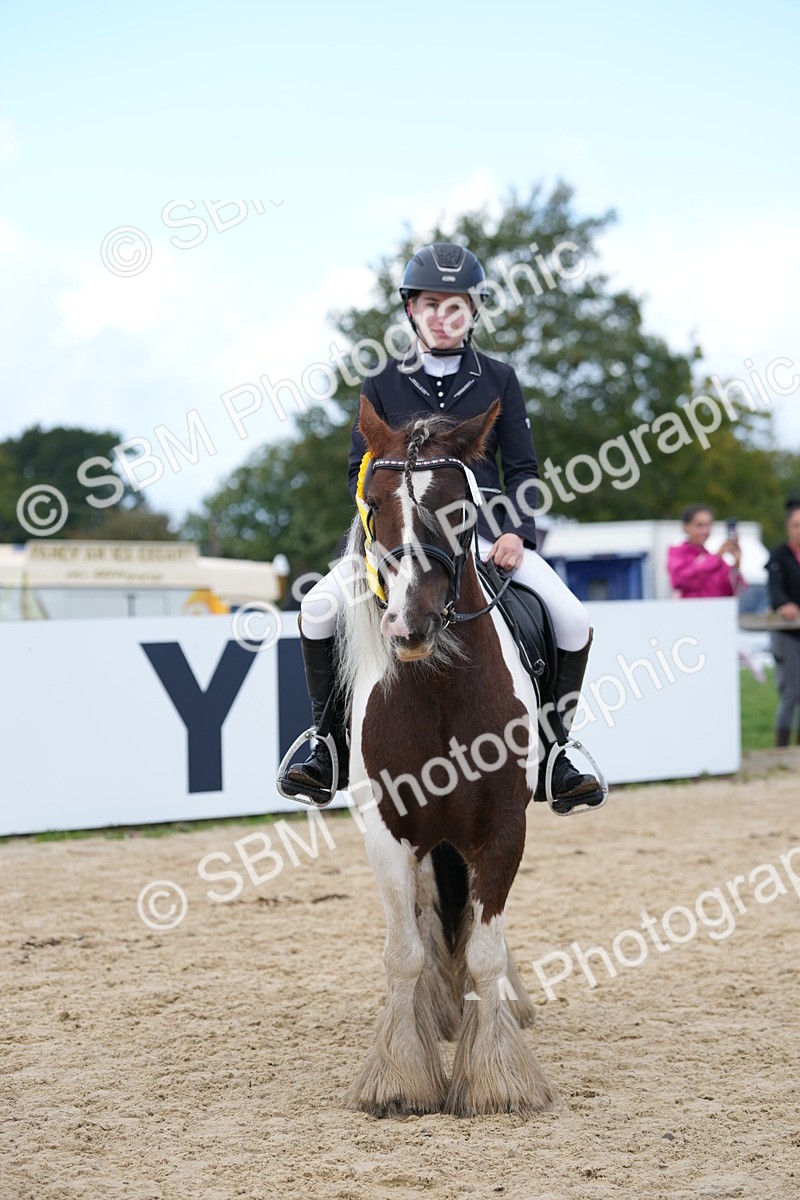 SBM_21352 - J49 - Open 50cm