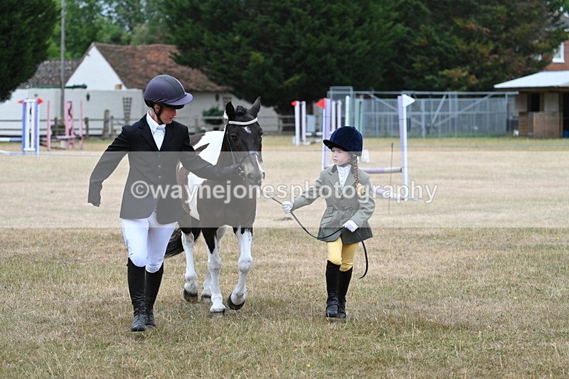 WJ7_9573 - Class 5 Most Handsome Gelding (up to 14.2hh)