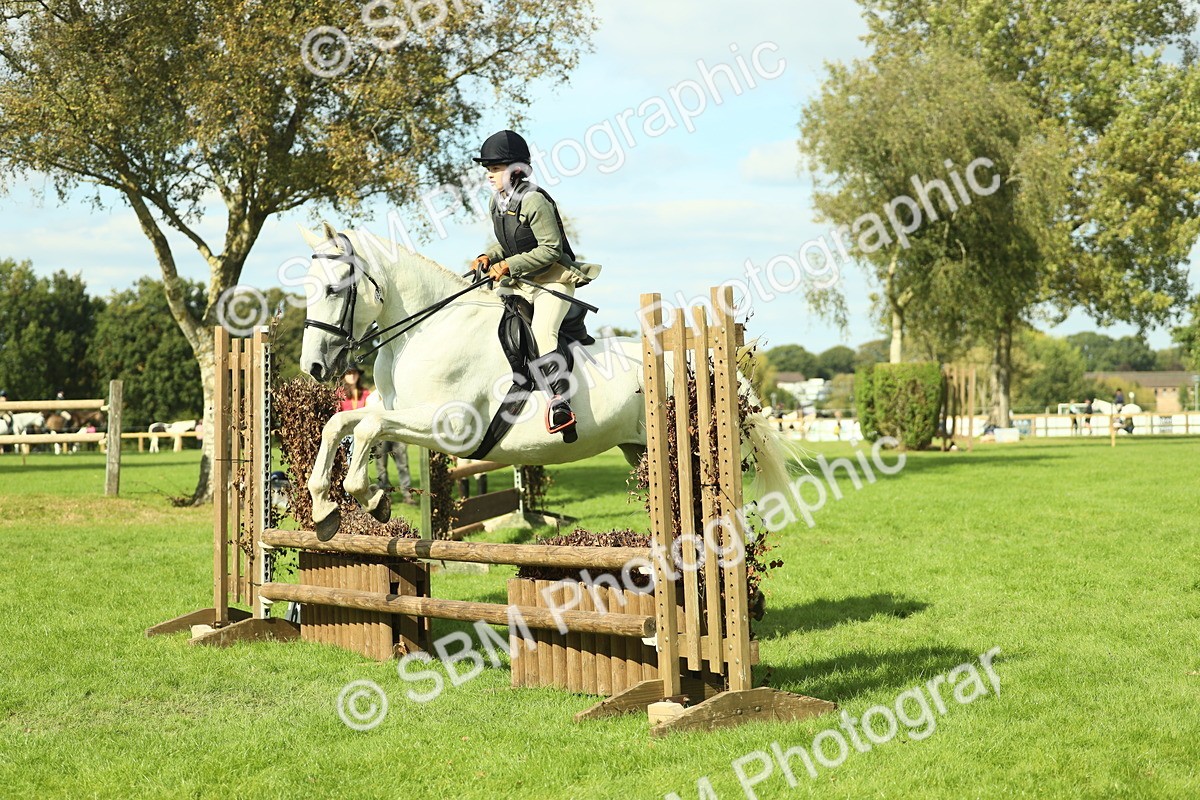 SBM_48044 - S32 - Novice & Newcomers Working Hunter