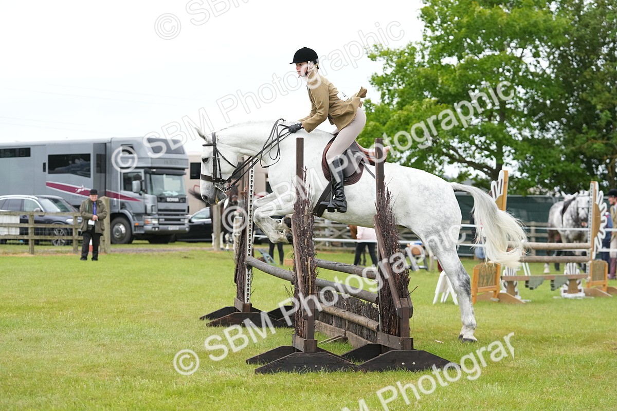 SBM_12524 - Class 97-98 - LIHS BSHA Rising Star Working Show Horse Hunter