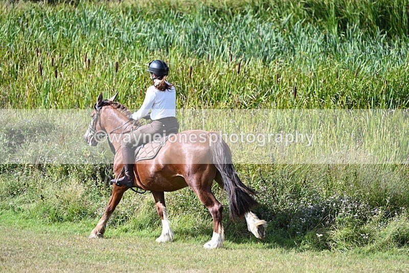 WJ7_3677 - Time 10:33 to 10:53