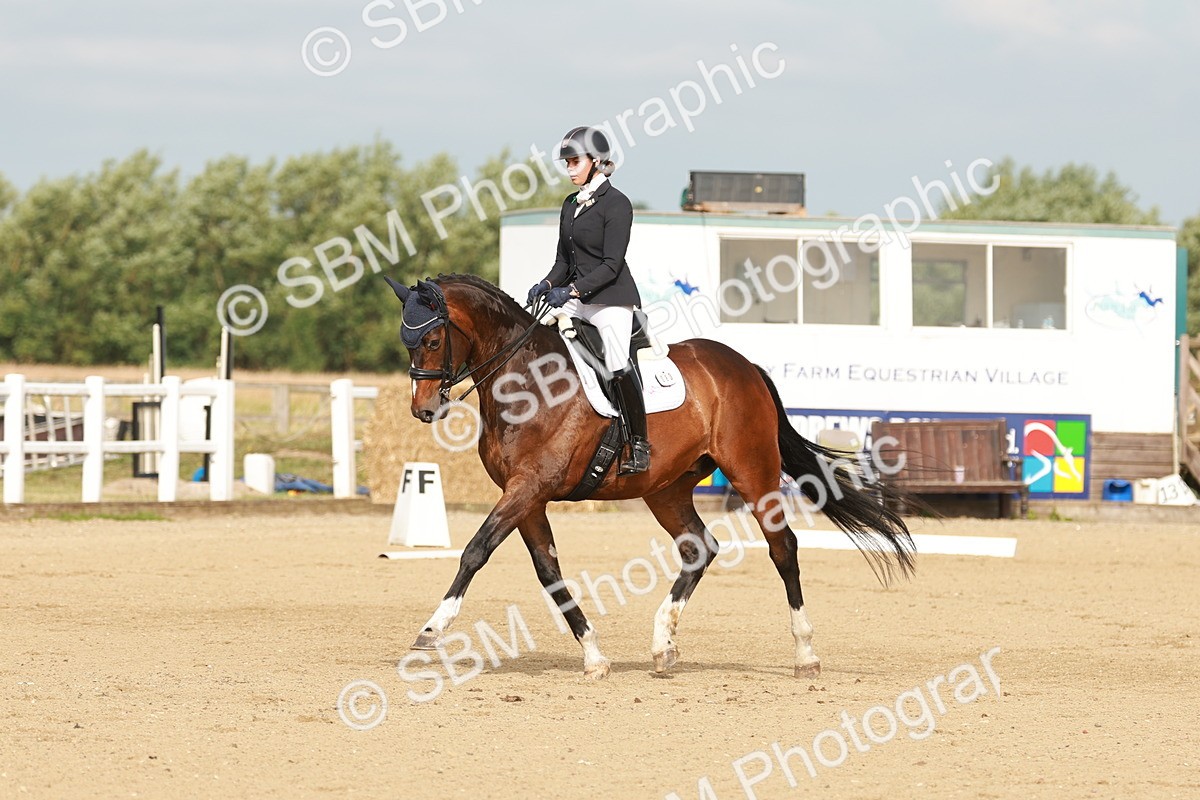 SBM_021226 - Class 16 - E6