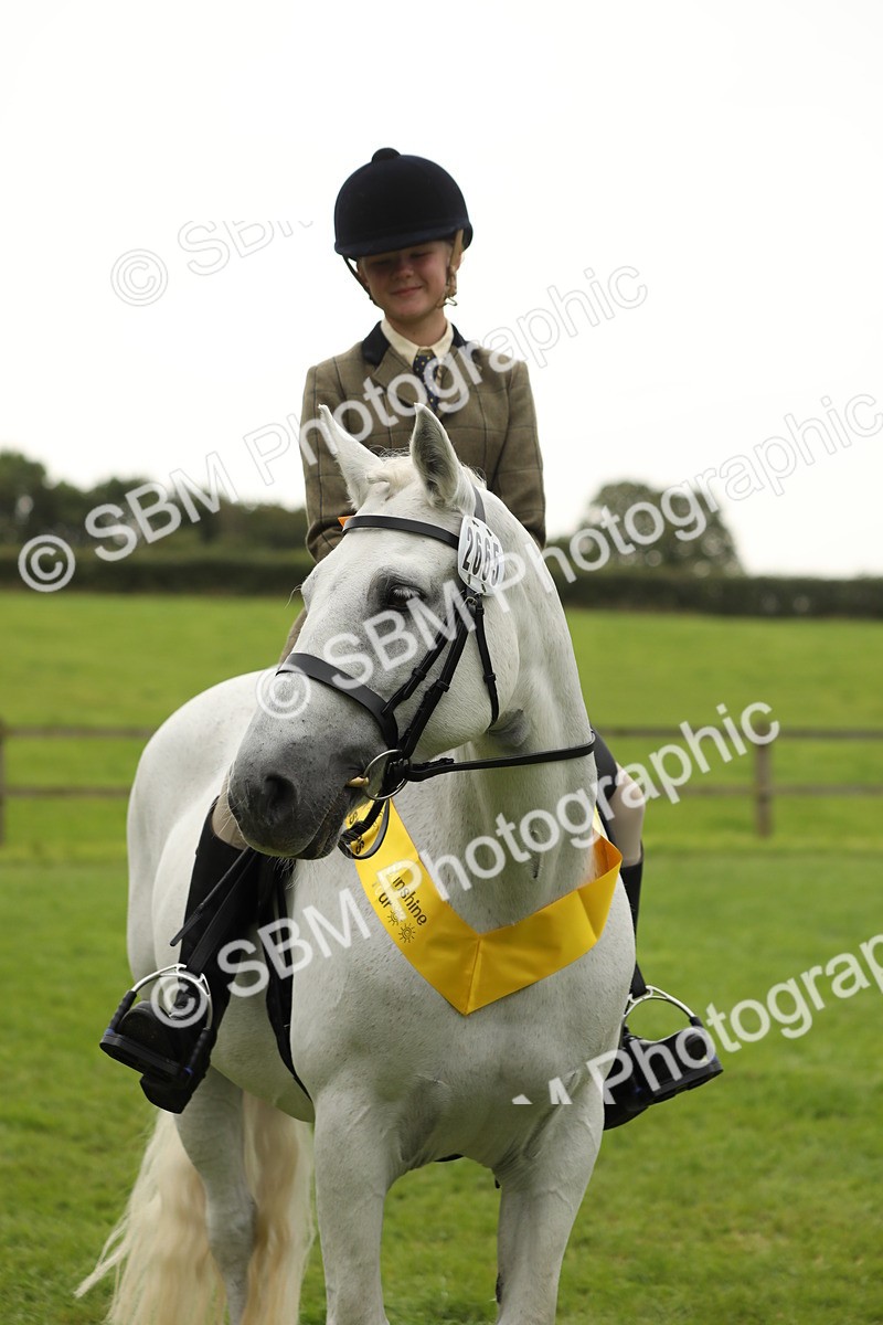 SBM_71399 - S41 - Ridden Equitation (Best Rider)
