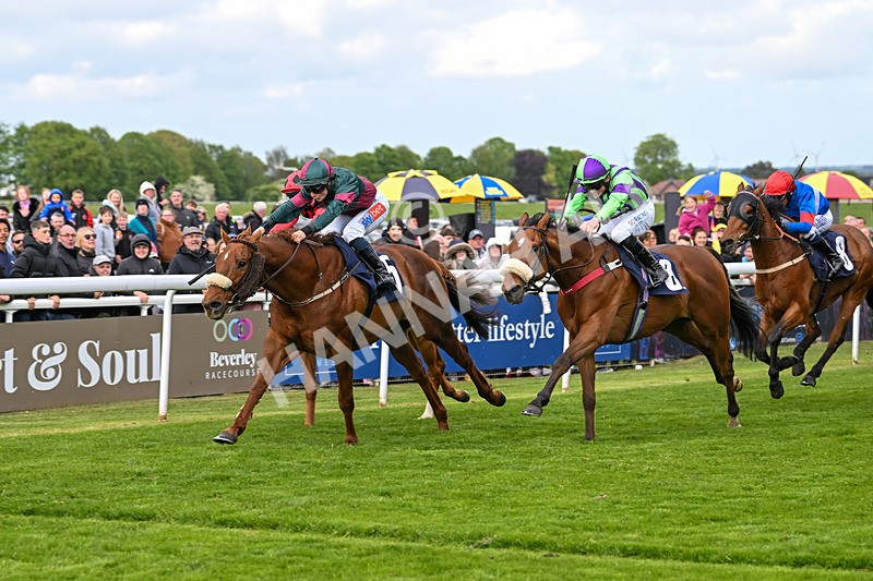 050525-Race 6-Copper And Five-5241 - Race 6