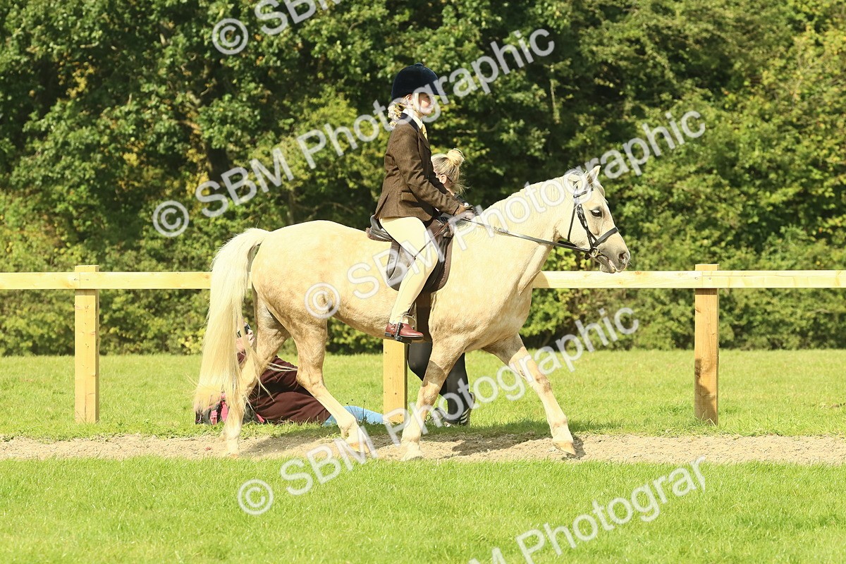 SBM_67416 - S56 - Coloured Pony Ridden