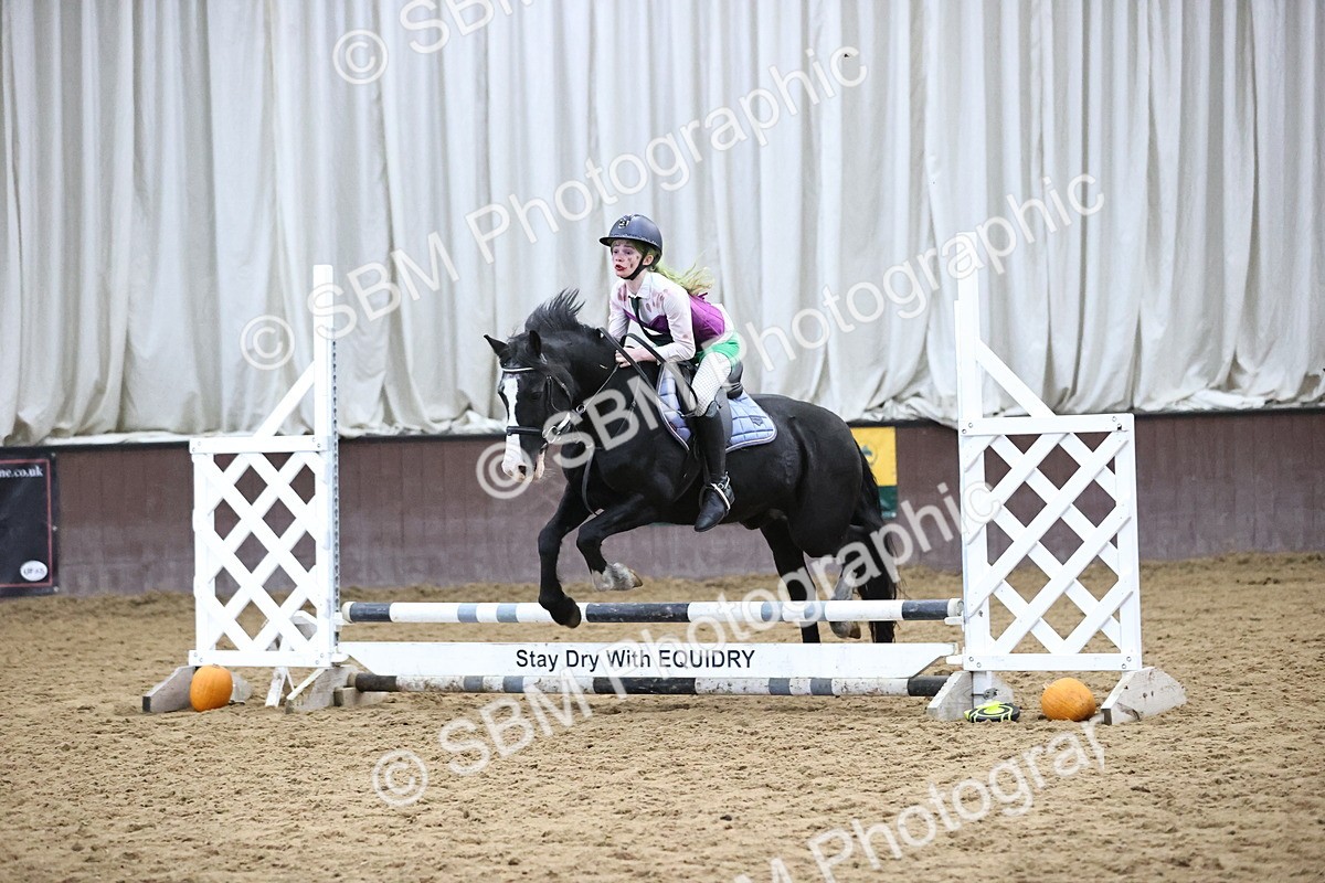 SBM_001645 - Class 3 - Horse & Hound 60cm