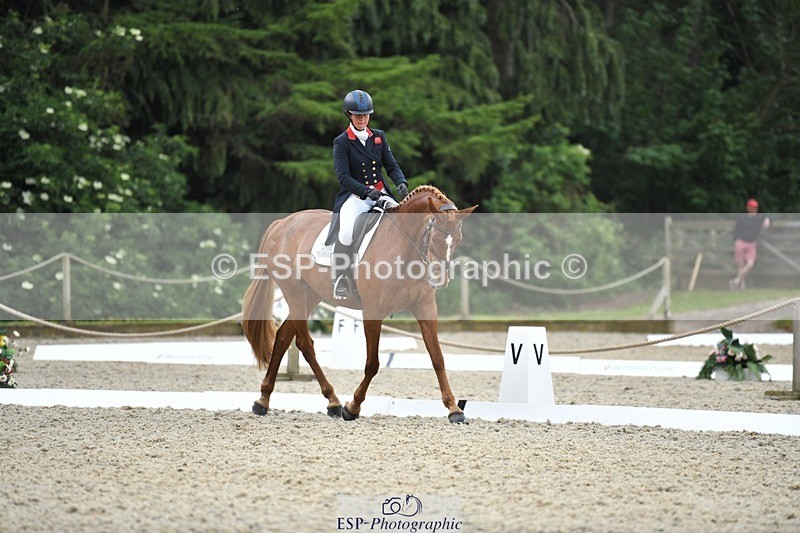 230525-125622-02057 - 112-BILLY_MAPLE-Kitty_King-WEDTrotUp+DR