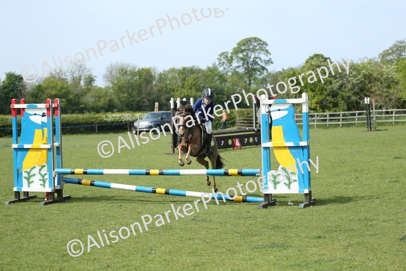 20260426-1731 - Class 14 - Novice 60cm