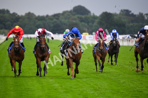 yr21082021r3-8 - Race 3 3.00pm Sky Bet City of York Stakes