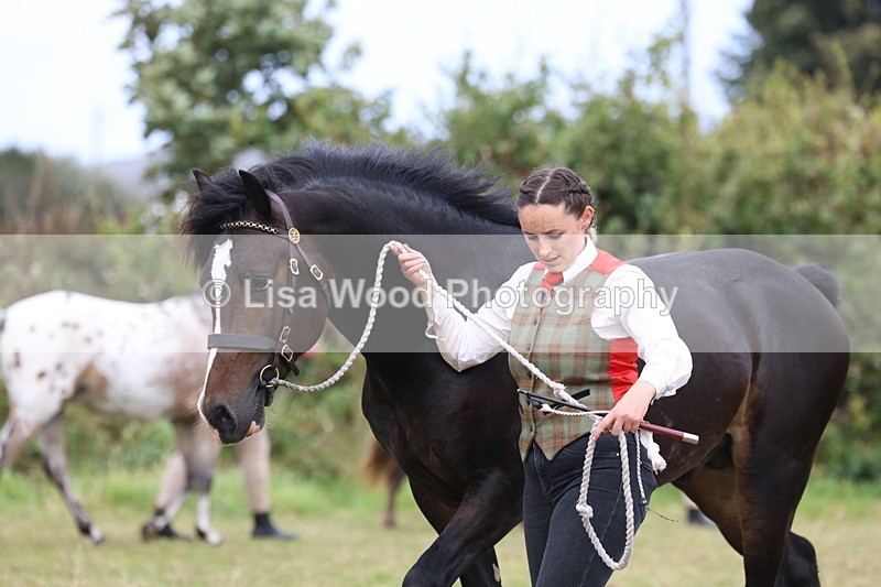 3E7A4243 - Class 15: Two Year Olds