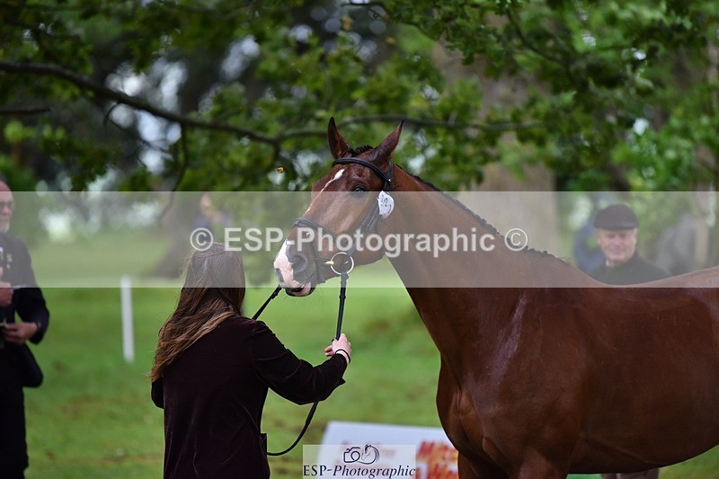 240522-155624-00595 - 107-KINGSTON-Marianna_Sawyer