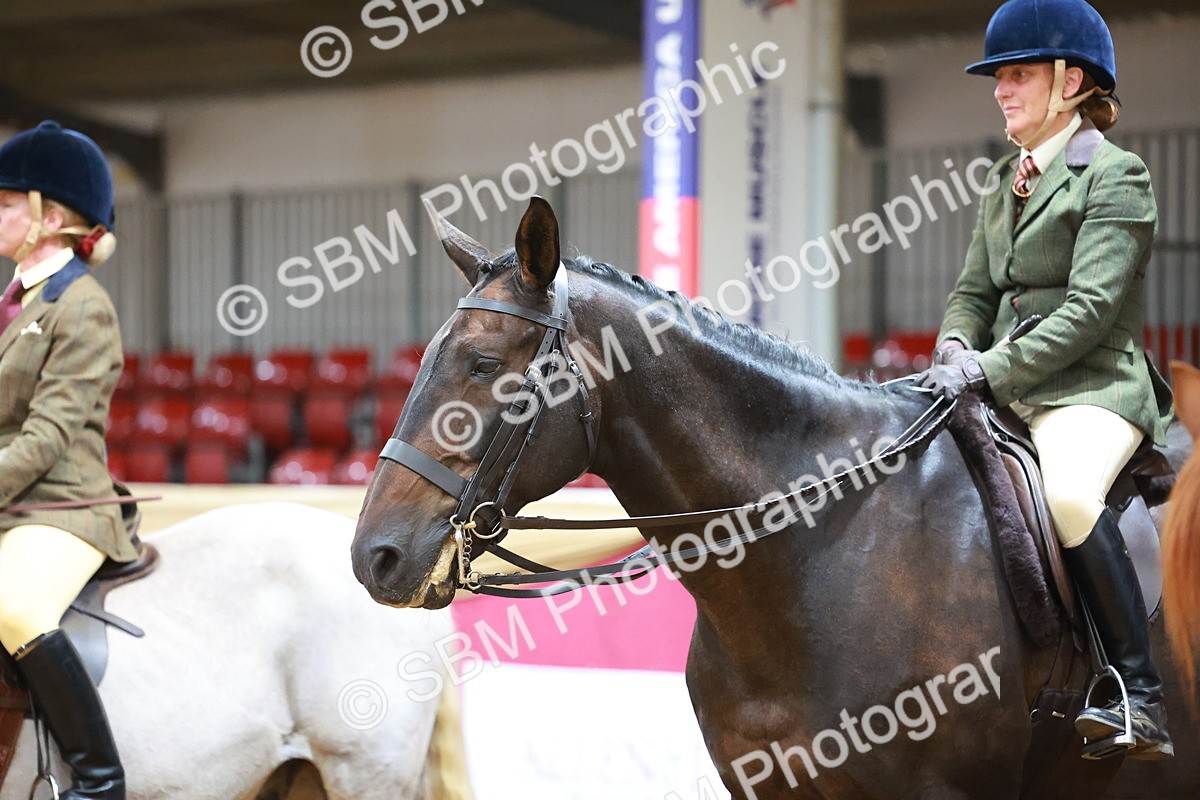 SBM_07736 - Class 101 - HOYS Veteran Qualifier - Ridden Diamond