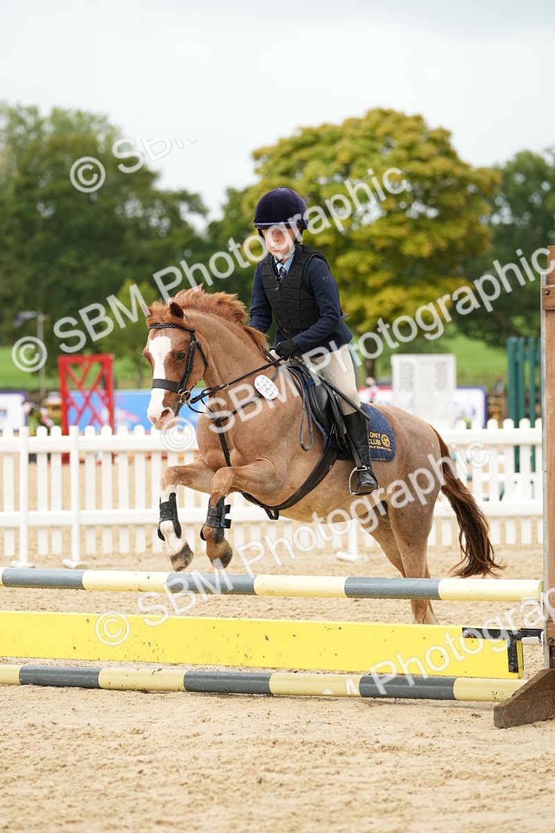 SBM_33420 - J5 - Junior Pony 50cm Championship