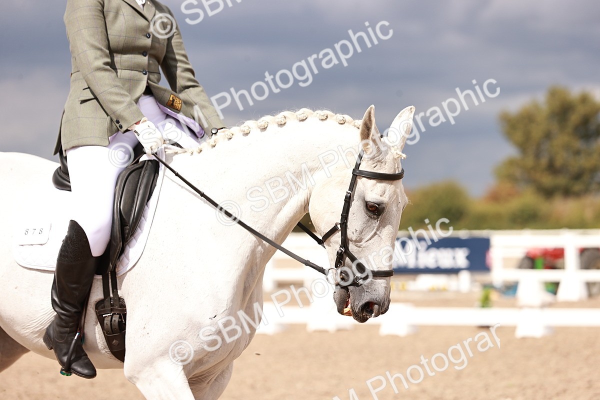 SBM_06309 - Class 37 - Novice 5