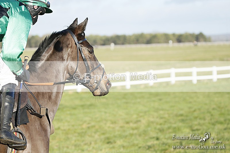 PtP 121220 307 - Avon Vale Races Larkhill 12/12/20