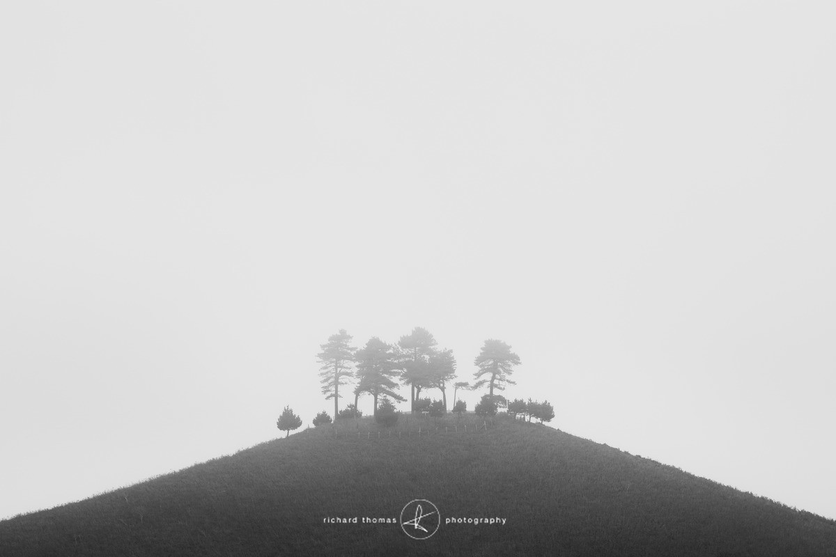 Atop - Mono Mist Trees