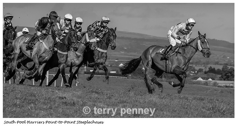  - Equestrian Sport