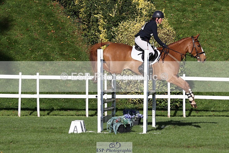231022-103125-24578 - 606-GOLDEN.HEART.BREAKER-Emily.R.Vincent-TrotUp+SJ