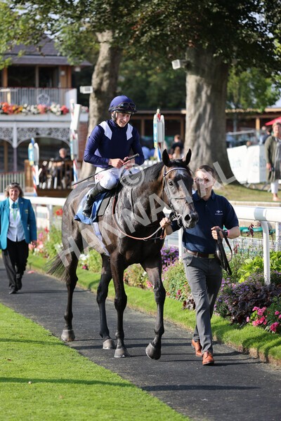 yr05092021r6-17 - Race 6 4.50pm Hanson Spring Stakes