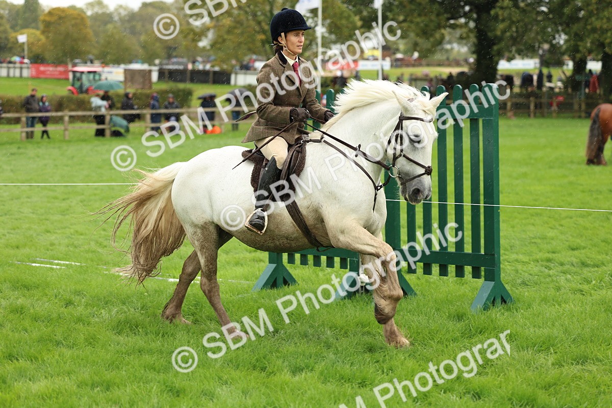 1I0A1482 - S32 - Mountain & Moorland Working Hunter Pony