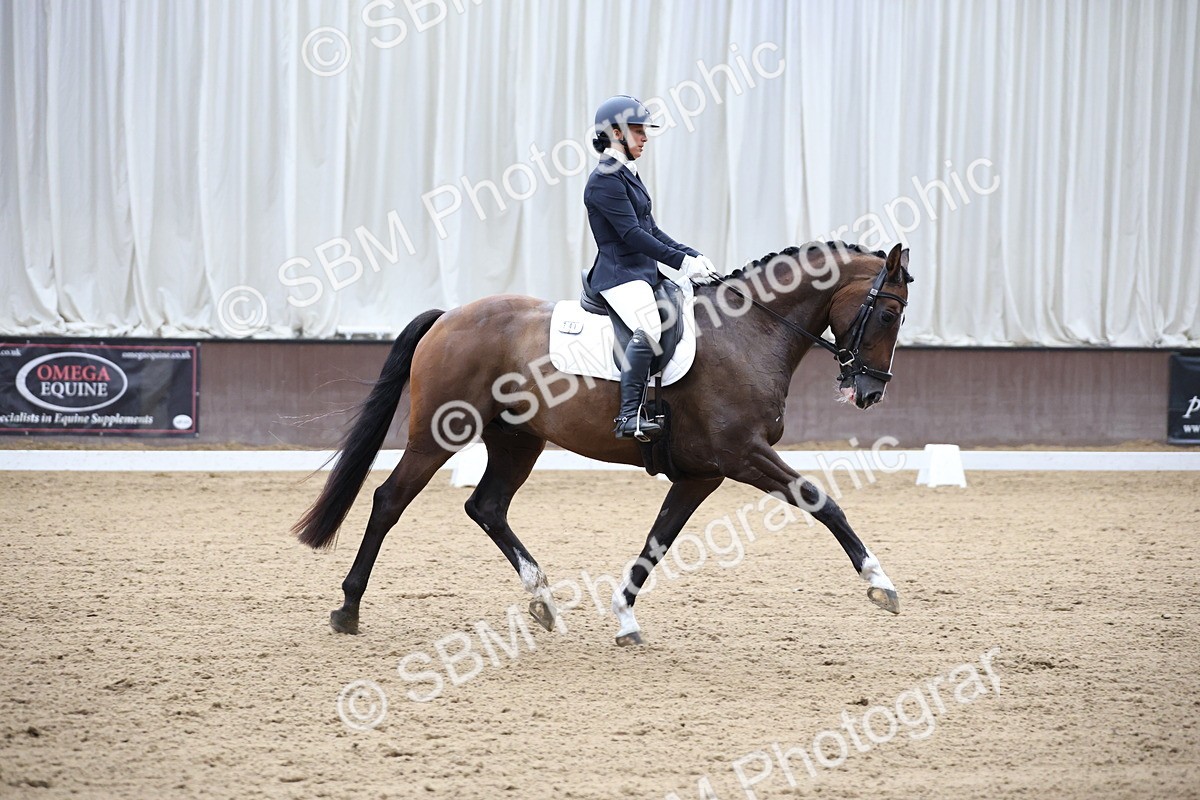 SBM_002847 - Class 5 - Novice 6 Gold - 10.24-11.30
