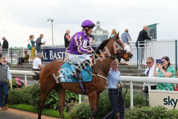 yr04092022r4-7 - Race 4 3.30pm Federation of Bloodstock Agents Nursery Handicap