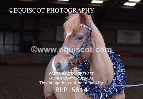 BPP_5814 - Sarah Page