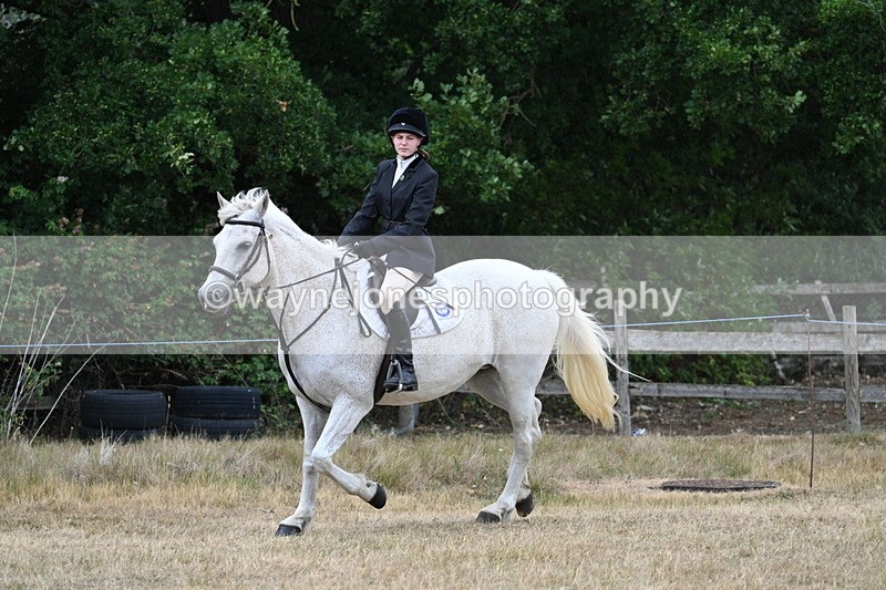WJ7_0936 - Class 7 Riding Club Show Horse
