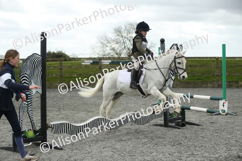 20260412-0669 - Show Jumping
