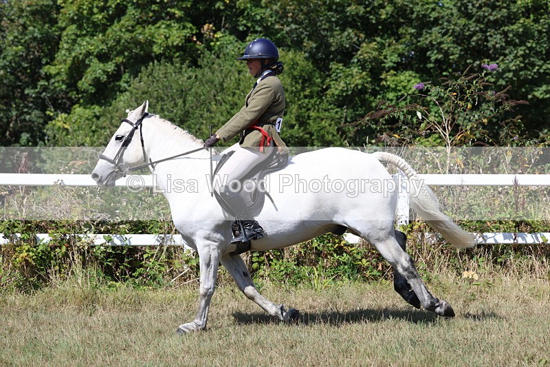 3E7A6411 - Working Hunter Championship