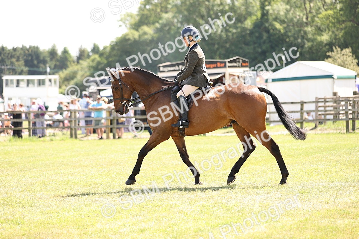 SBM_14948 - Class 78 - LIHS BSHA Open Racehorse & Show Horse