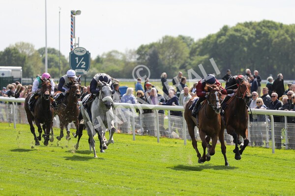 yr12052022r2-30 - Race 2 2.25pm Al Basti Equiworld Dubai Middleton Fillies' Stakes