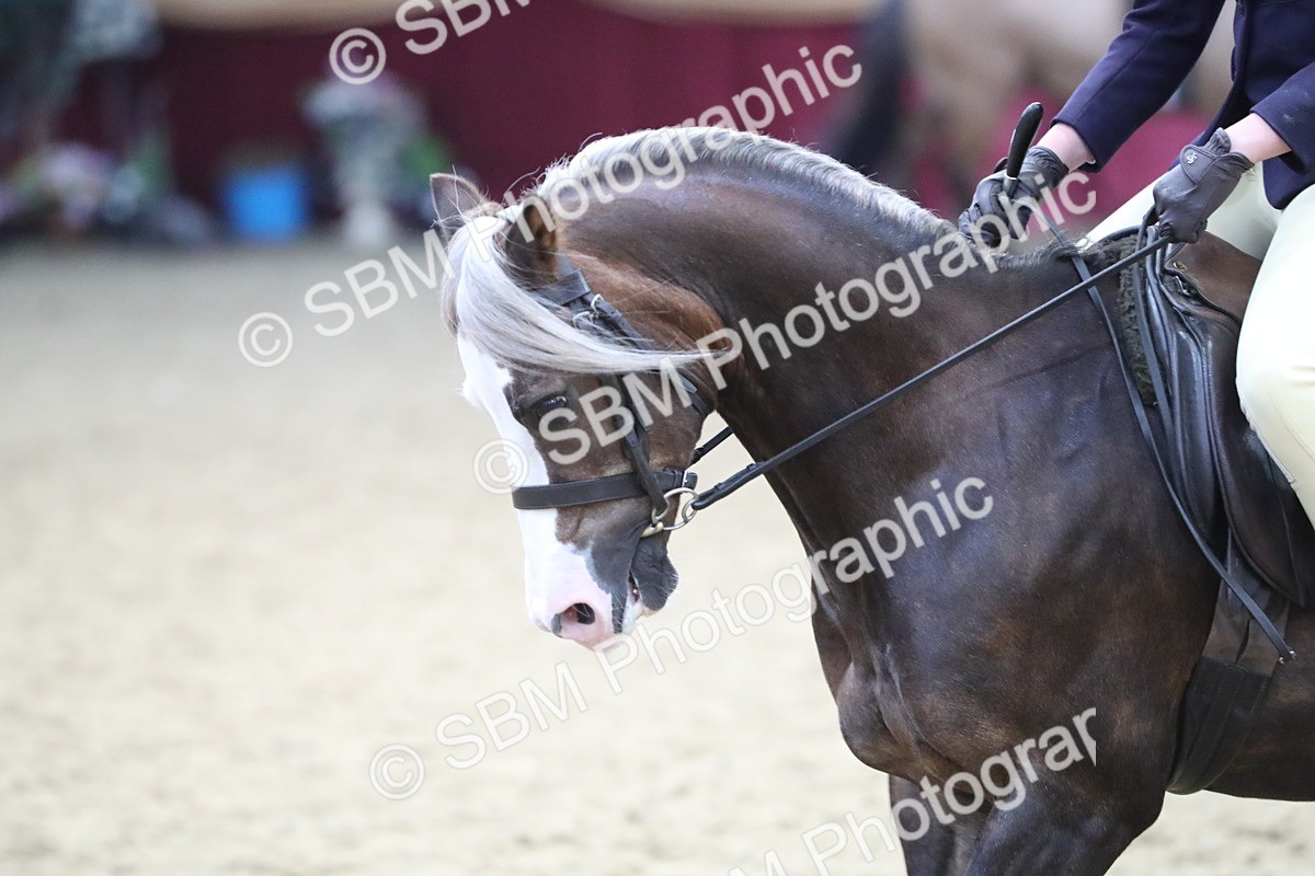 SBM_16354 - Class 502 M&M Ridden Supreme Final