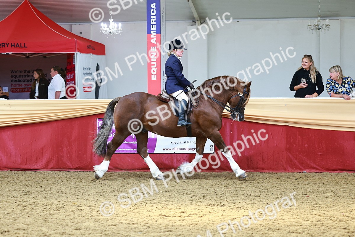 SBM_23343 - class 906 - Supreme Final - Ridden Pre Vet