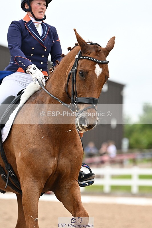 240623A-162903-20163 - Cls 59 BD FEI PSG