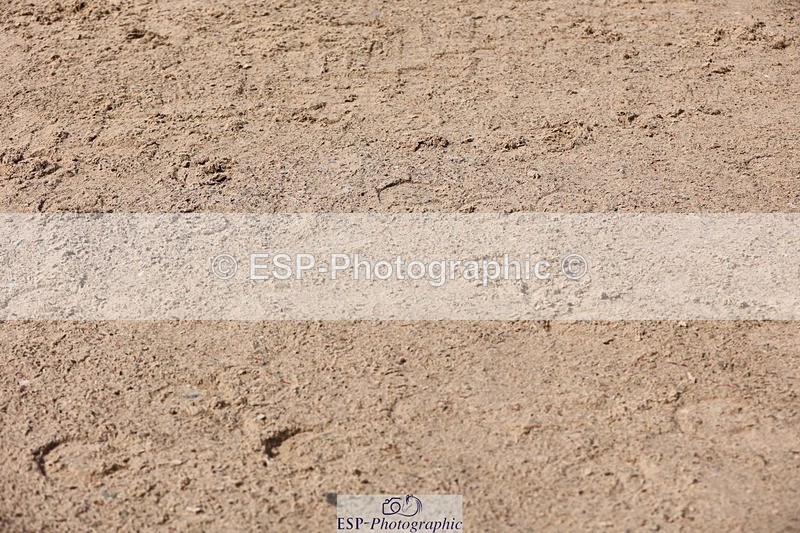 250427-111951-15918 - Cls 36 Young Horse 7yr old