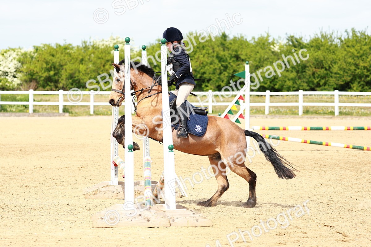 SBM_007860 - Class 3 - 60cm