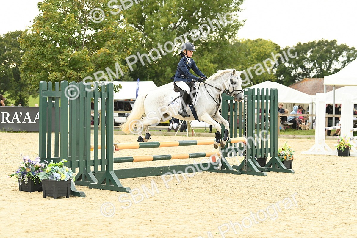 SBM_73297 - J16 - Junior Pony 75cm Championship