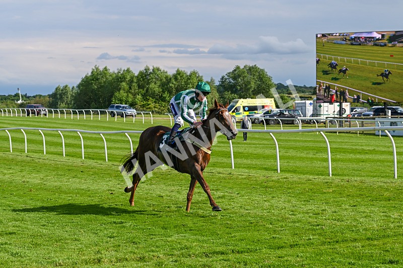 180624-Race 6-Infinite Honour-0767 - Race 6