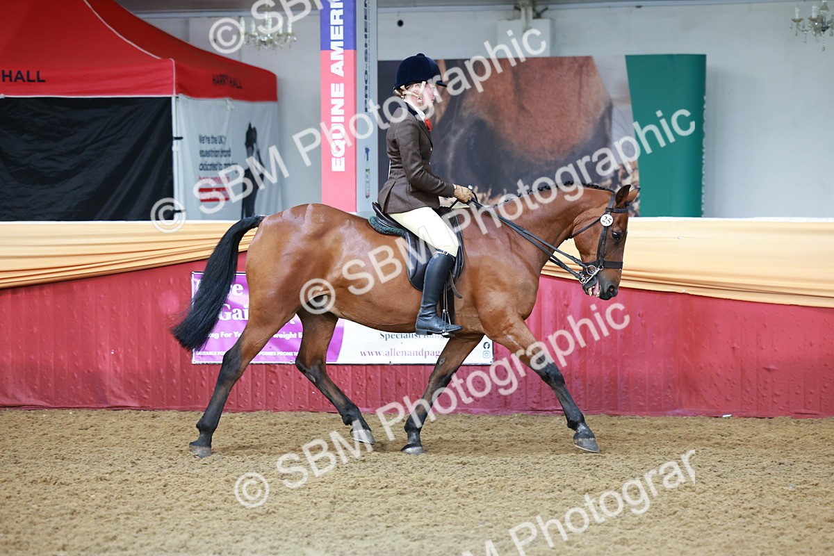 SBM_11791 - Class 102 - Equitation (Best Rider) Adult