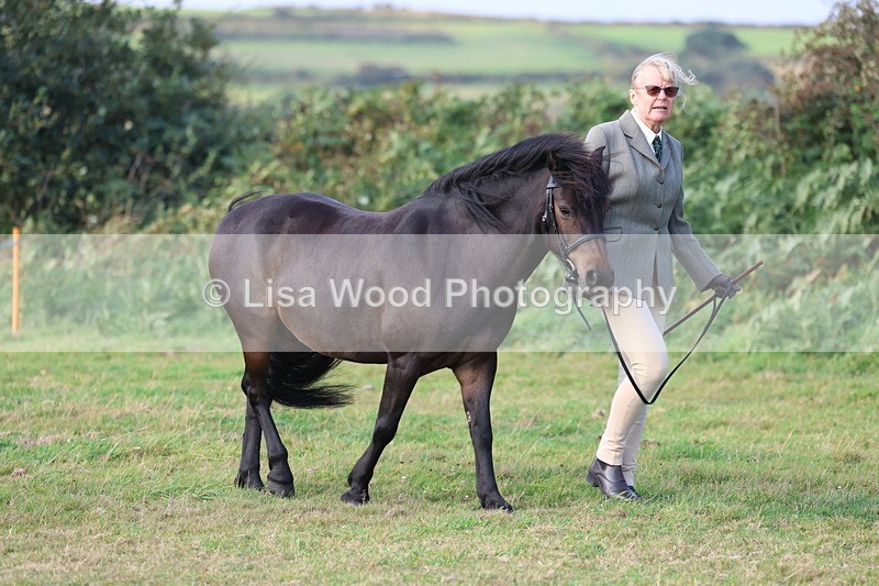 3E7A3118 - Class 12: M & M Small Breeds