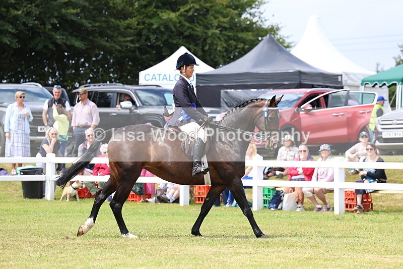 3E7A0499 - Rising Star Ridden Championship