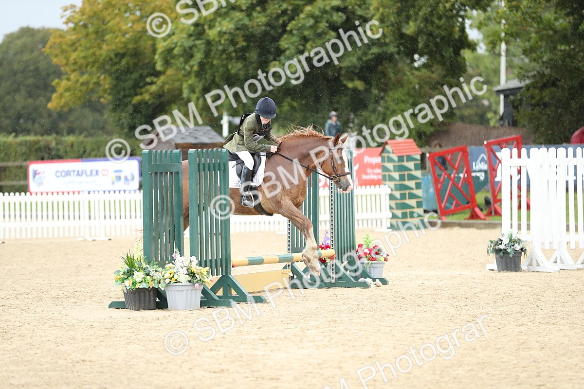 SBM_37186 - J20 - Junior Horse 50cm Championship