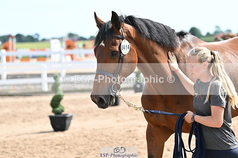 240717A-155247-03135 - Trot Up 3pm to 4pm