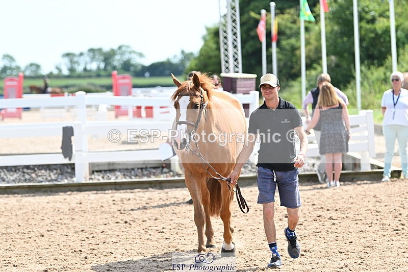 240717A-153351-02881 - Trot Up 3pm to 4pm