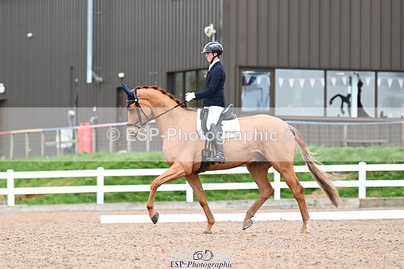 240218A-133131-07867 - 271-Tom.Carter-Rubin.Regal