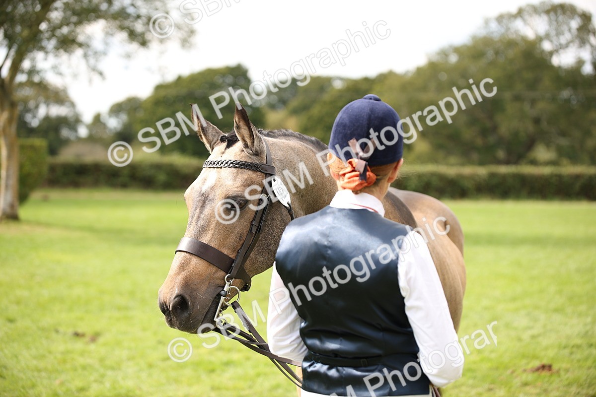 SBM_46358 - S25 - Mature Veteran In Hand