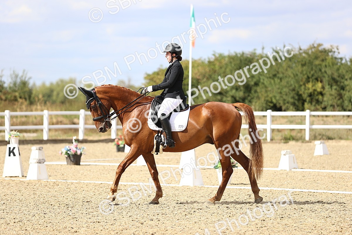 SBM_015252 - Class 5 - E5 Bronze 14.42.15.54