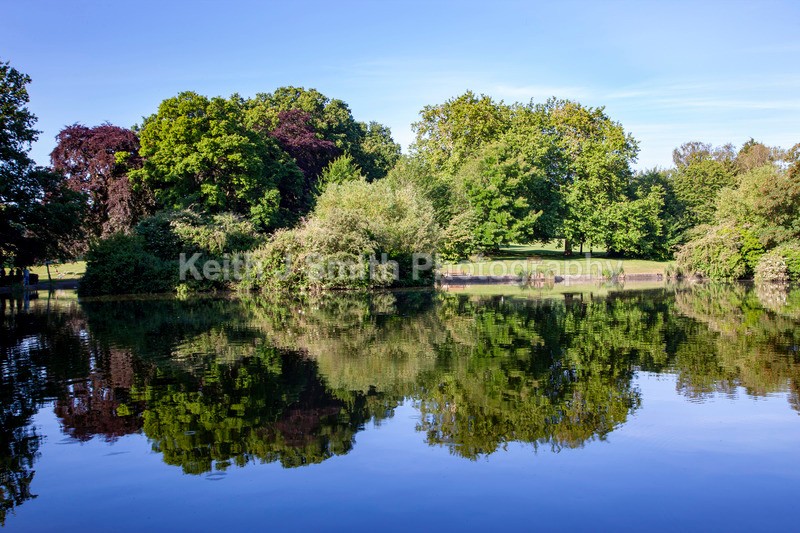 1SKJ7853 - Trees in Abington Park